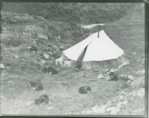 Image: Eskimo [Inuit] tent